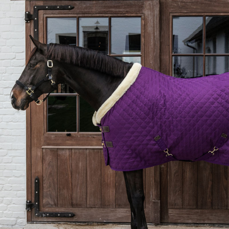 Kentucky Show Rug 160g Royal Purple-1